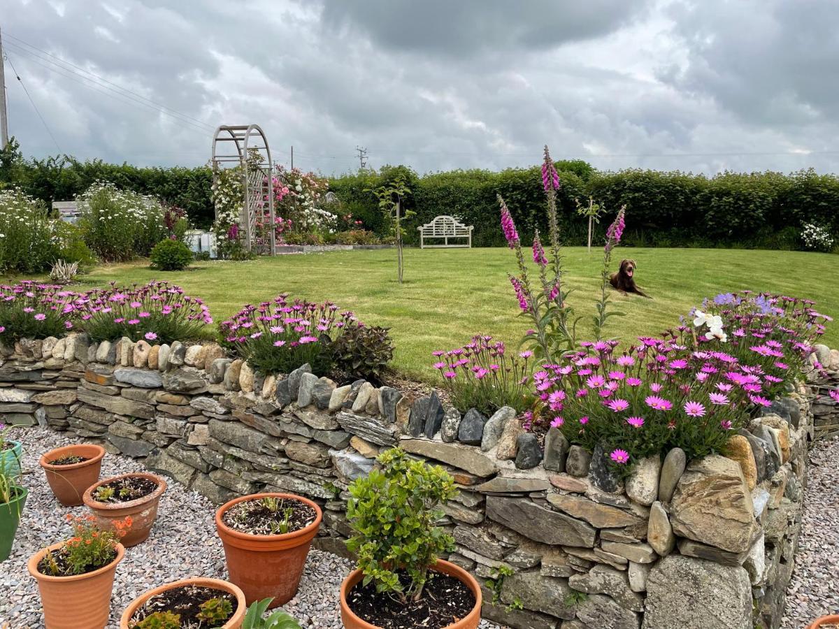 Westerley Country B & B With Exclusive Guest Lounge Buckfastleigh Zewnętrze zdjęcie
