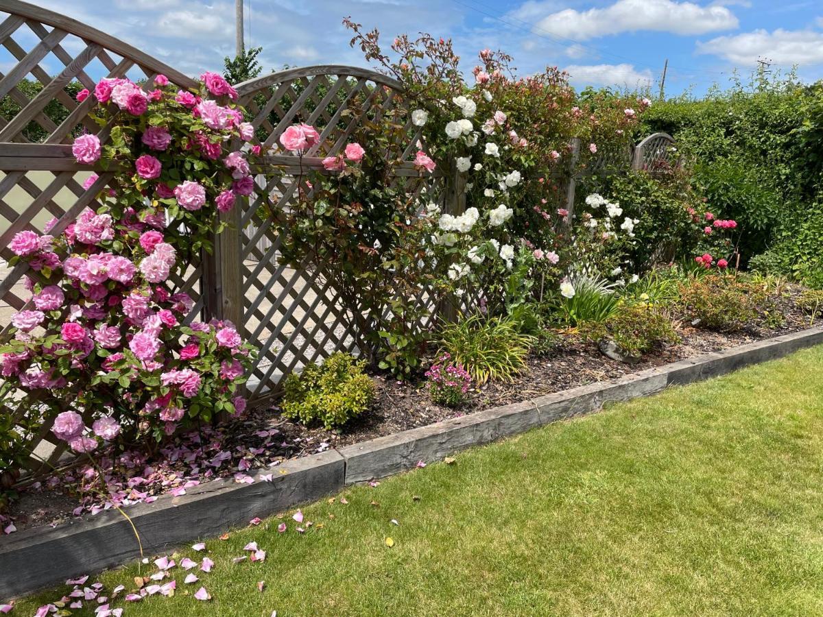 Westerley Country B & B With Exclusive Guest Lounge Buckfastleigh Zewnętrze zdjęcie