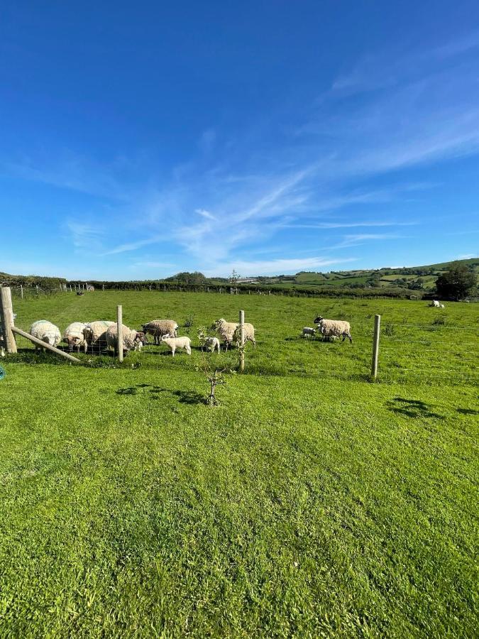 Westerley Country B & B With Exclusive Guest Lounge Buckfastleigh Zewnętrze zdjęcie
