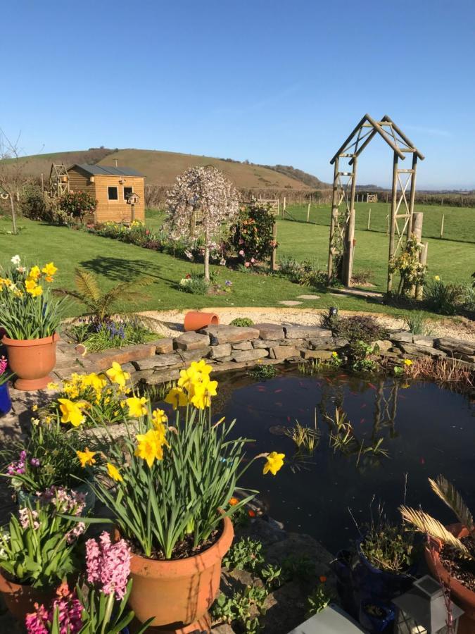 Westerley Country B & B With Exclusive Guest Lounge Buckfastleigh Zewnętrze zdjęcie