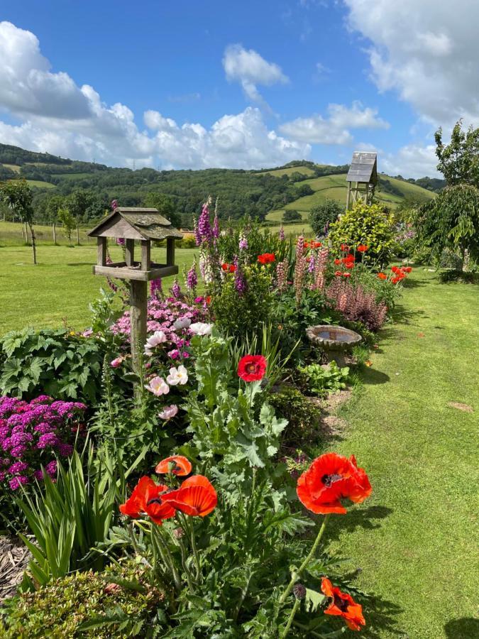 Westerley Country B & B With Exclusive Guest Lounge Buckfastleigh Zewnętrze zdjęcie