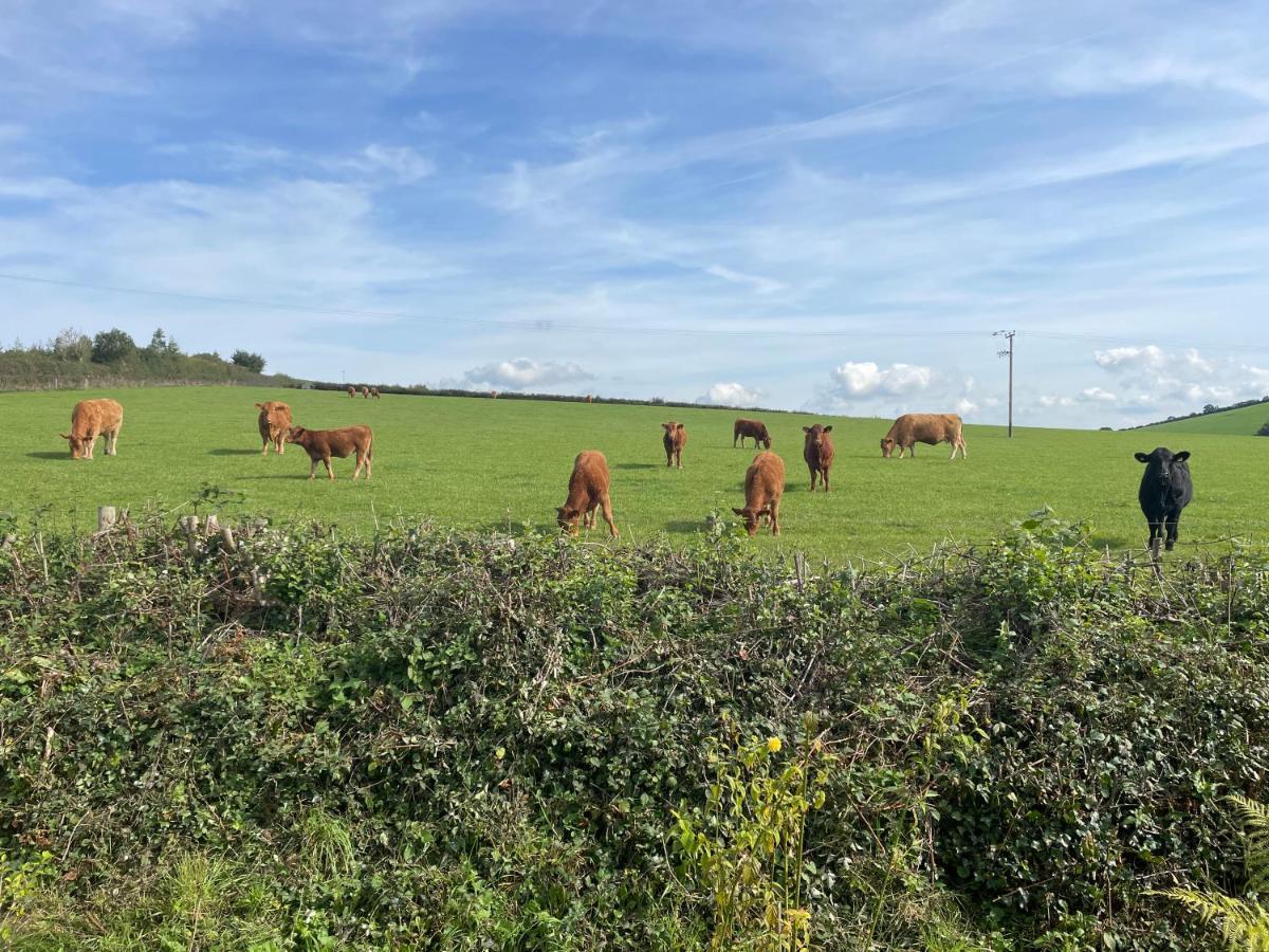 Westerley Country B & B With Exclusive Guest Lounge Buckfastleigh Zewnętrze zdjęcie